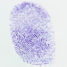 Fingerprinting Services
